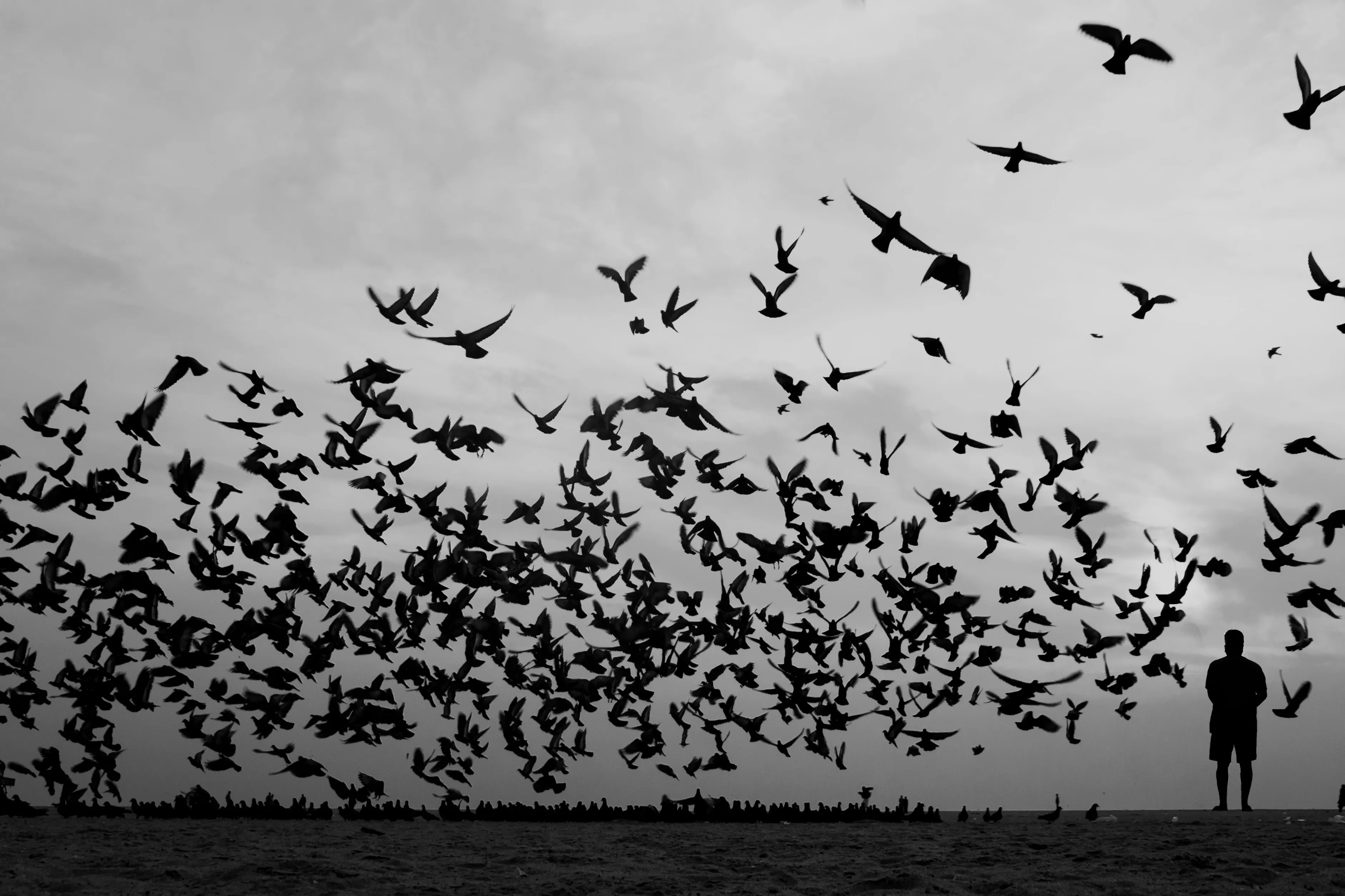 karthik pasupathy photography 009