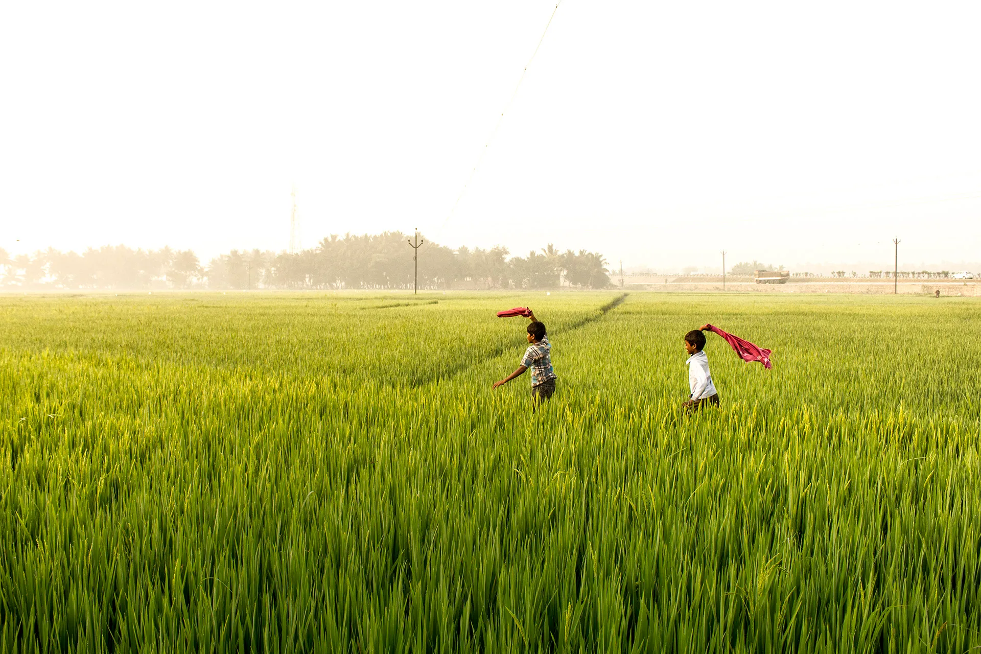 karthik pasupathy photography 012