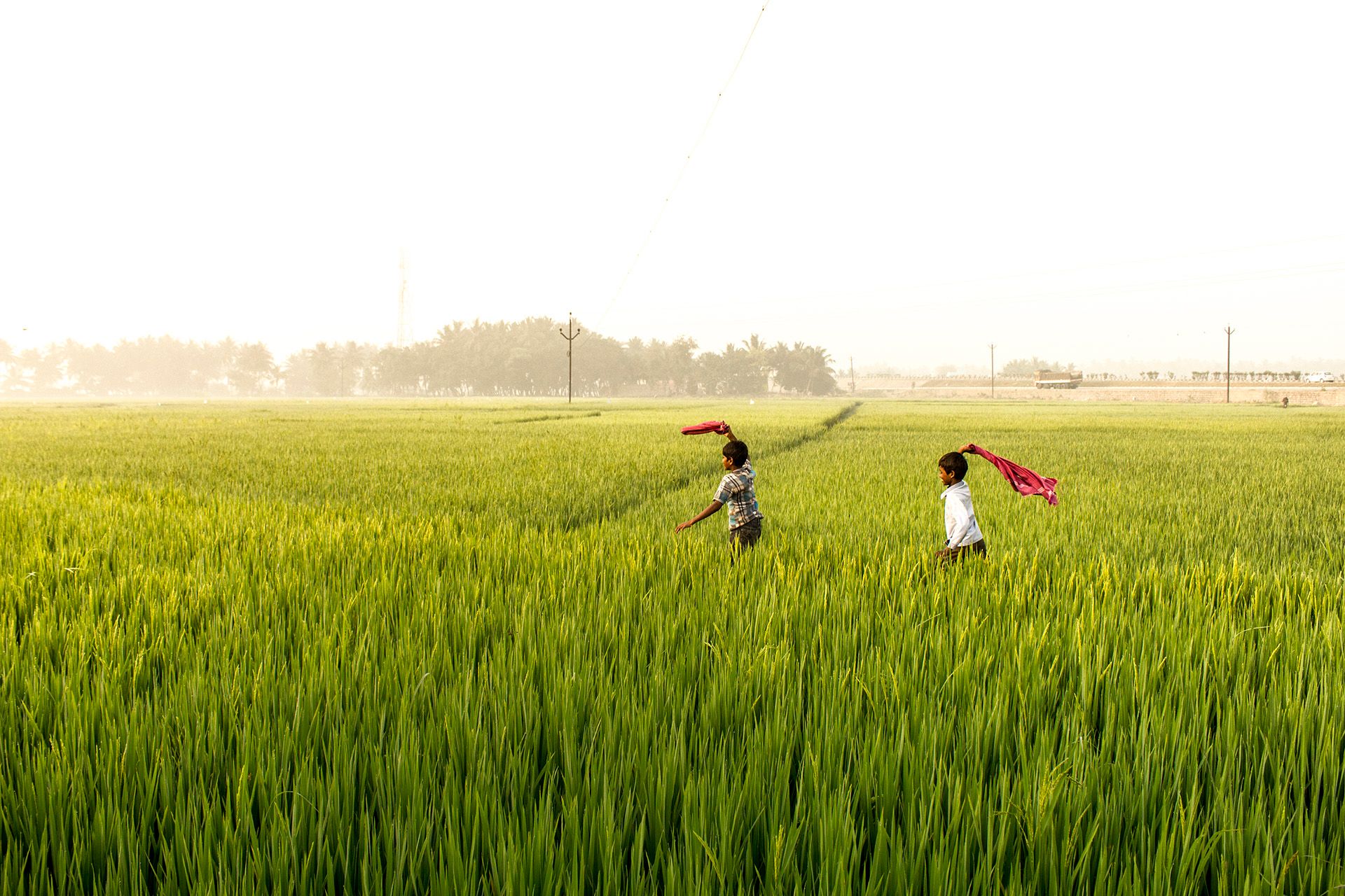 Photograph by Karthik Pasupathy
