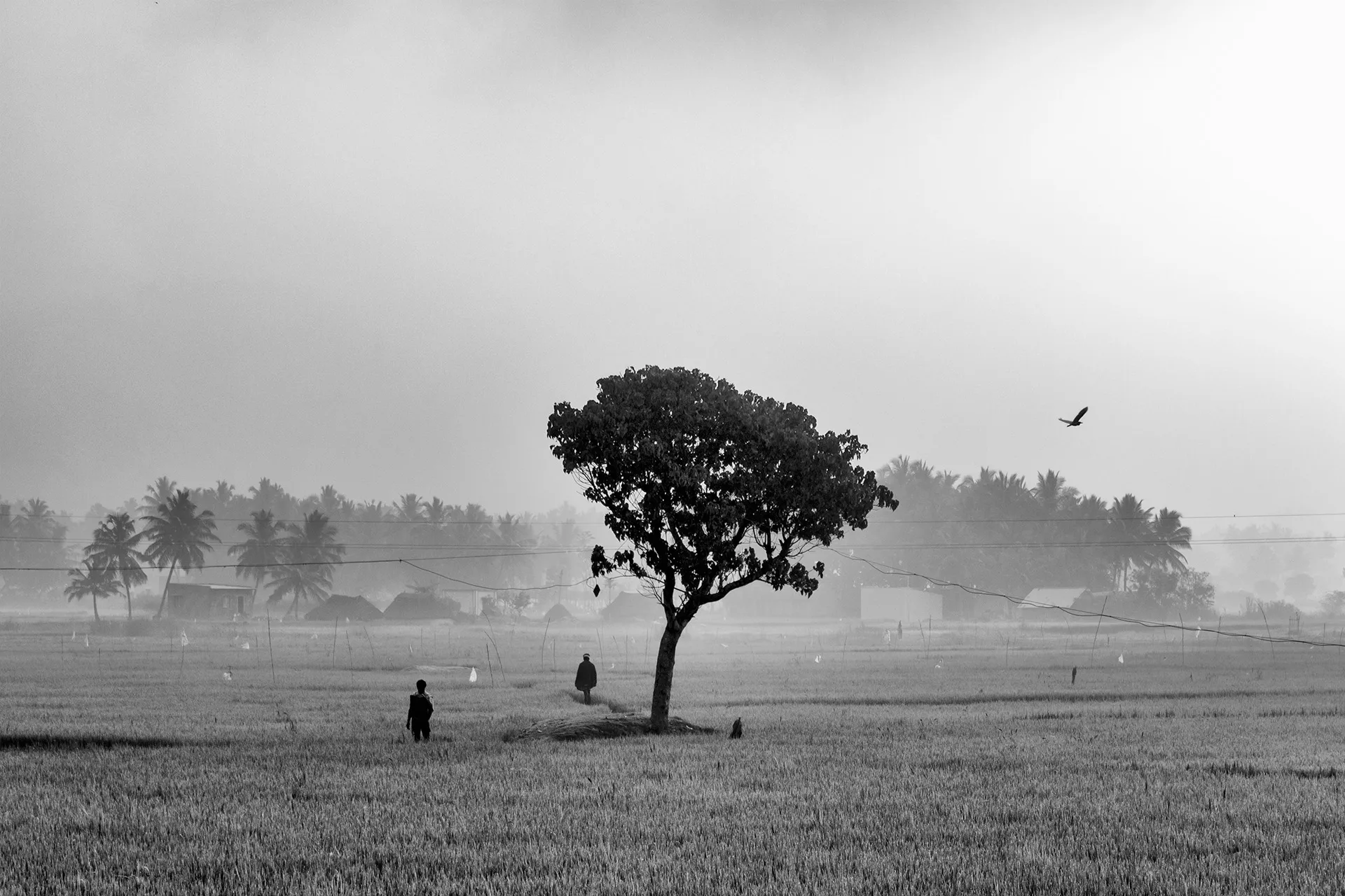 karthik pasupathy photography 013