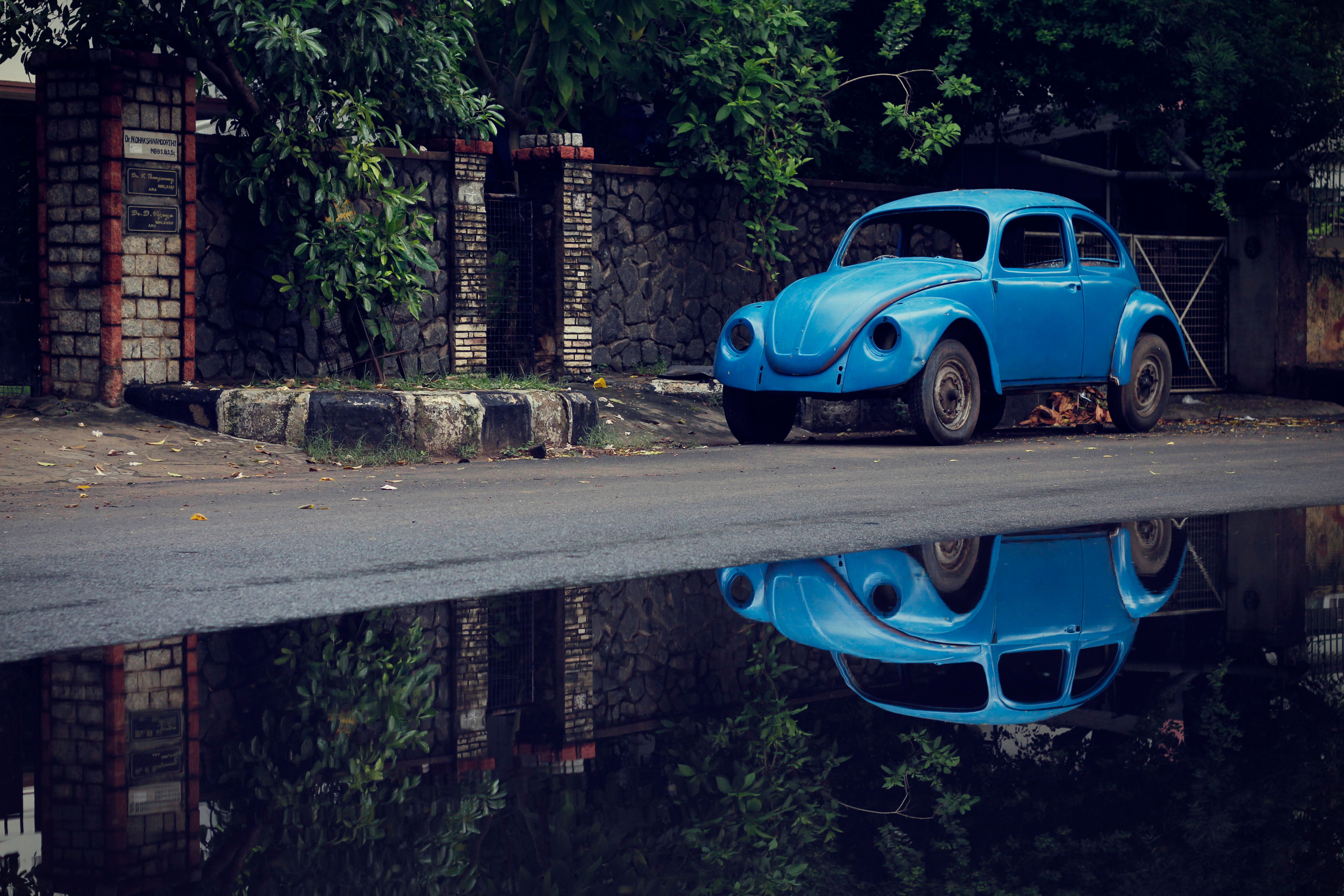 Photograph by Karthik Pasupathy