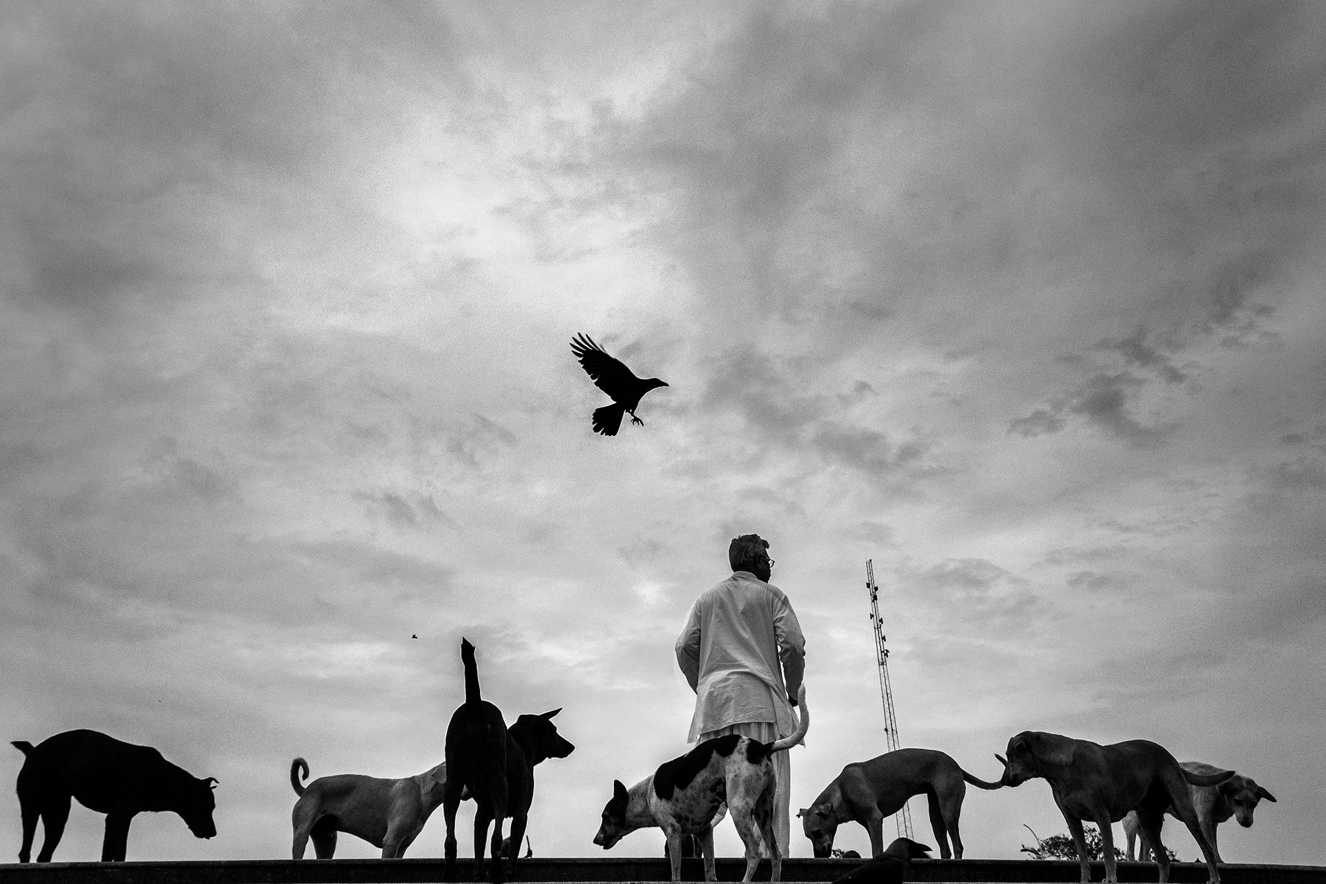 Photograph by Karthik Pasupathy